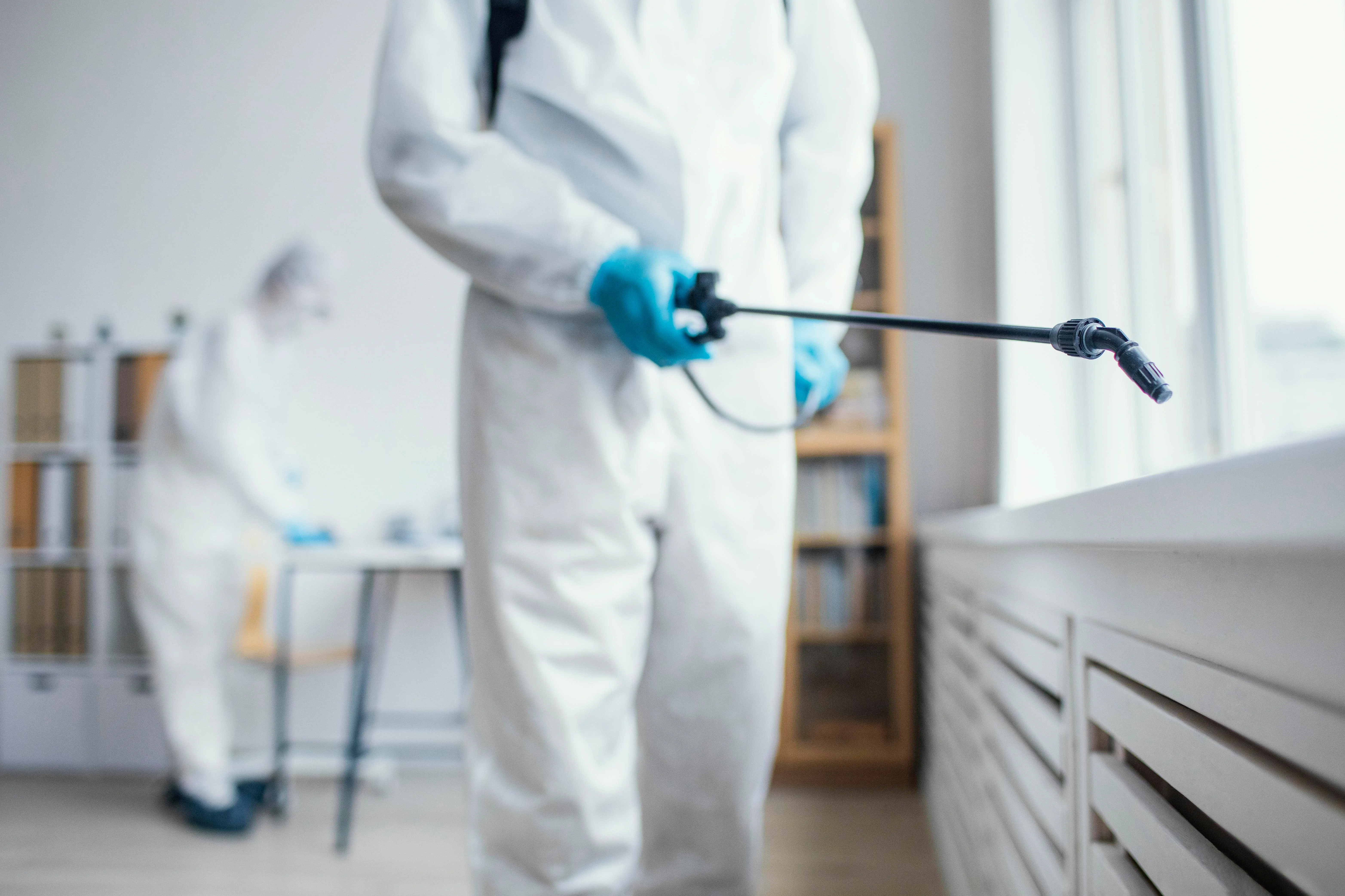 Transform Your Home into a Sanctuary with Flexi Clean - Professional Cleaning Service Zurich